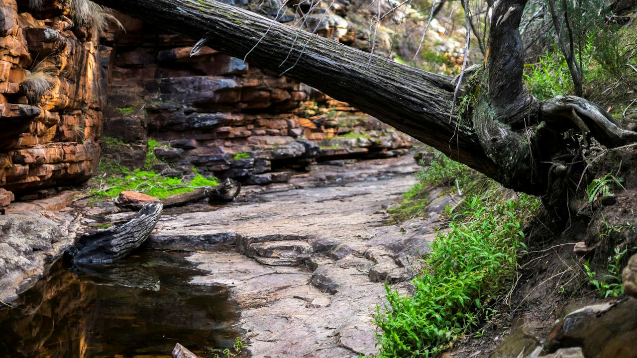 Mount Remarkable National Park