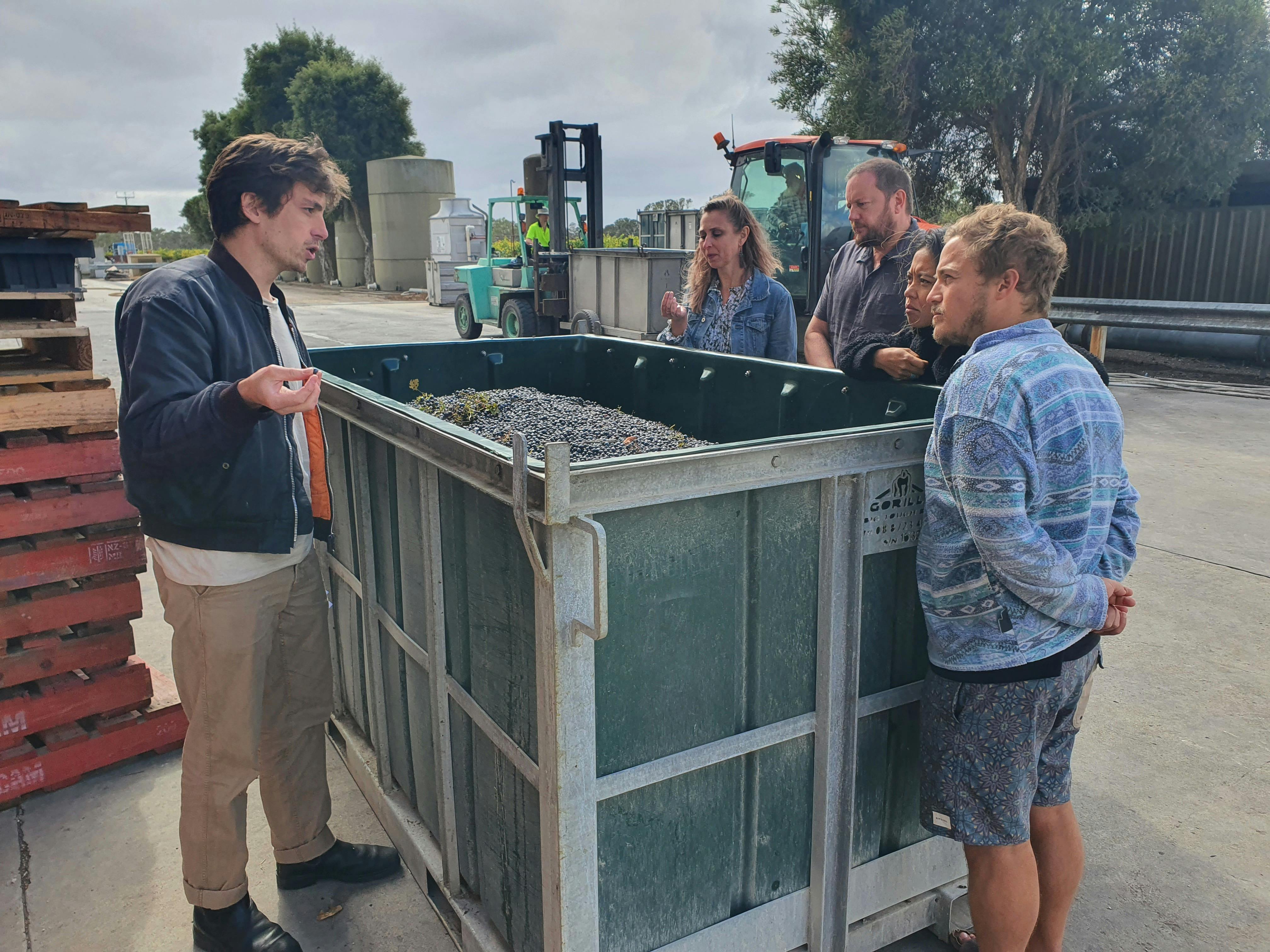 Winemaker walk & talk during harvest at Rymill Coonawarra