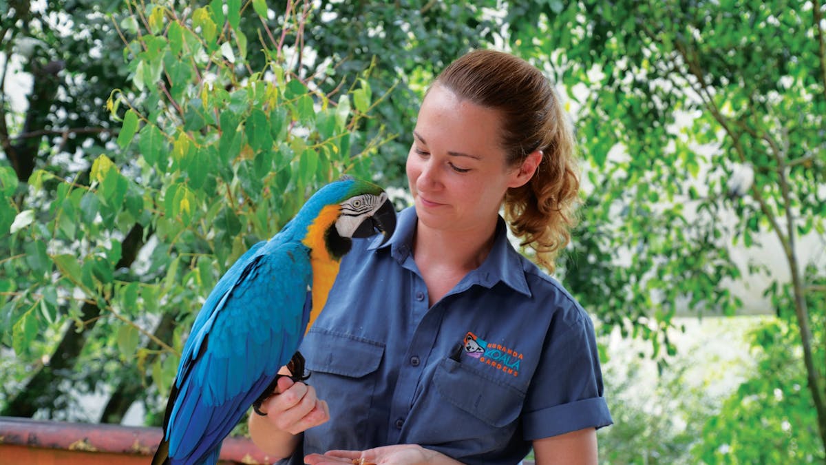 Macaw with our Keeper