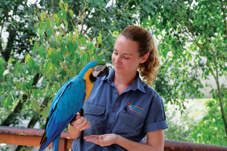 Birdworld Kuranda Cairns & Great Barrier Reef