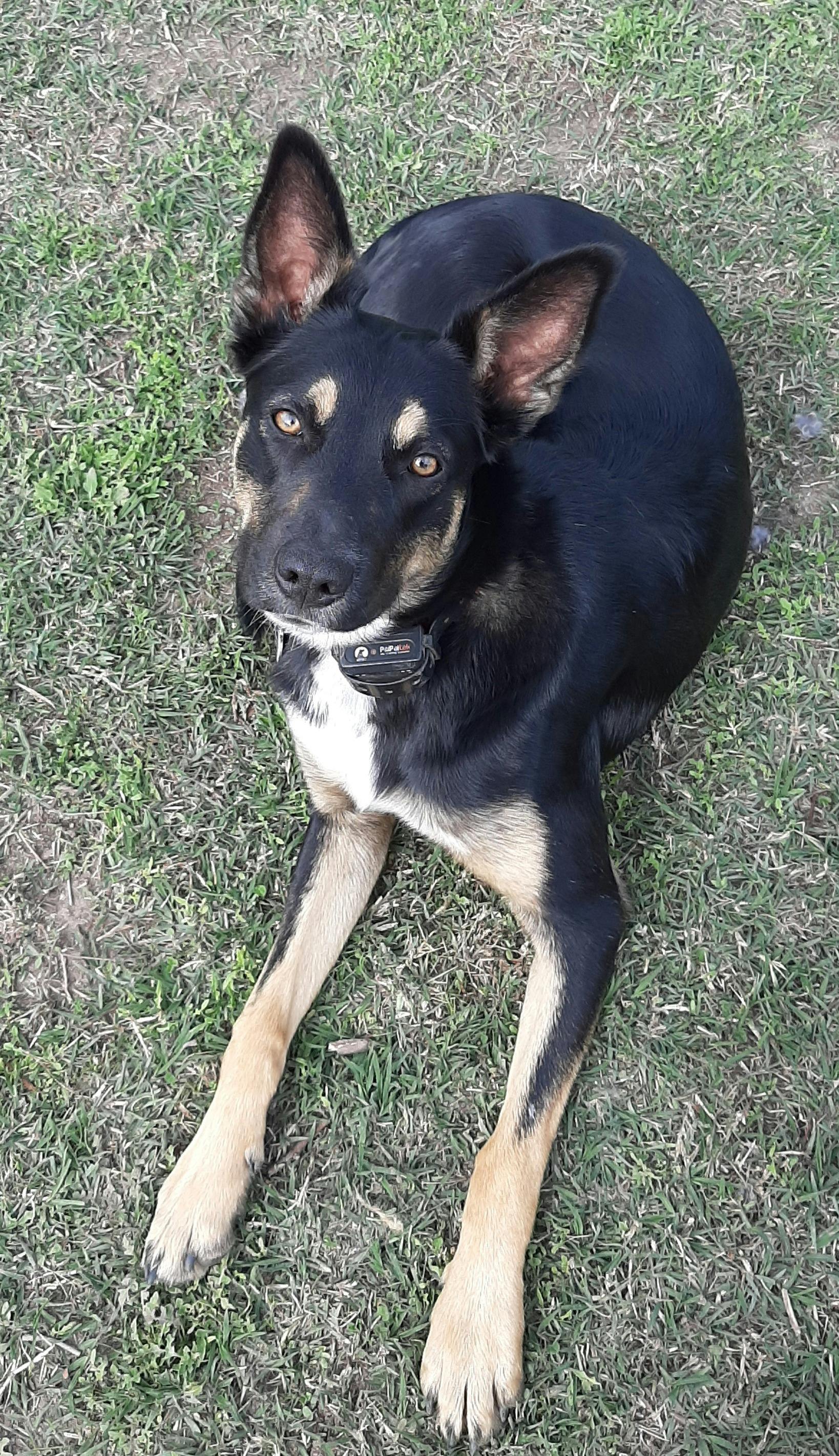 Meet Riley who loves people and to play soccer