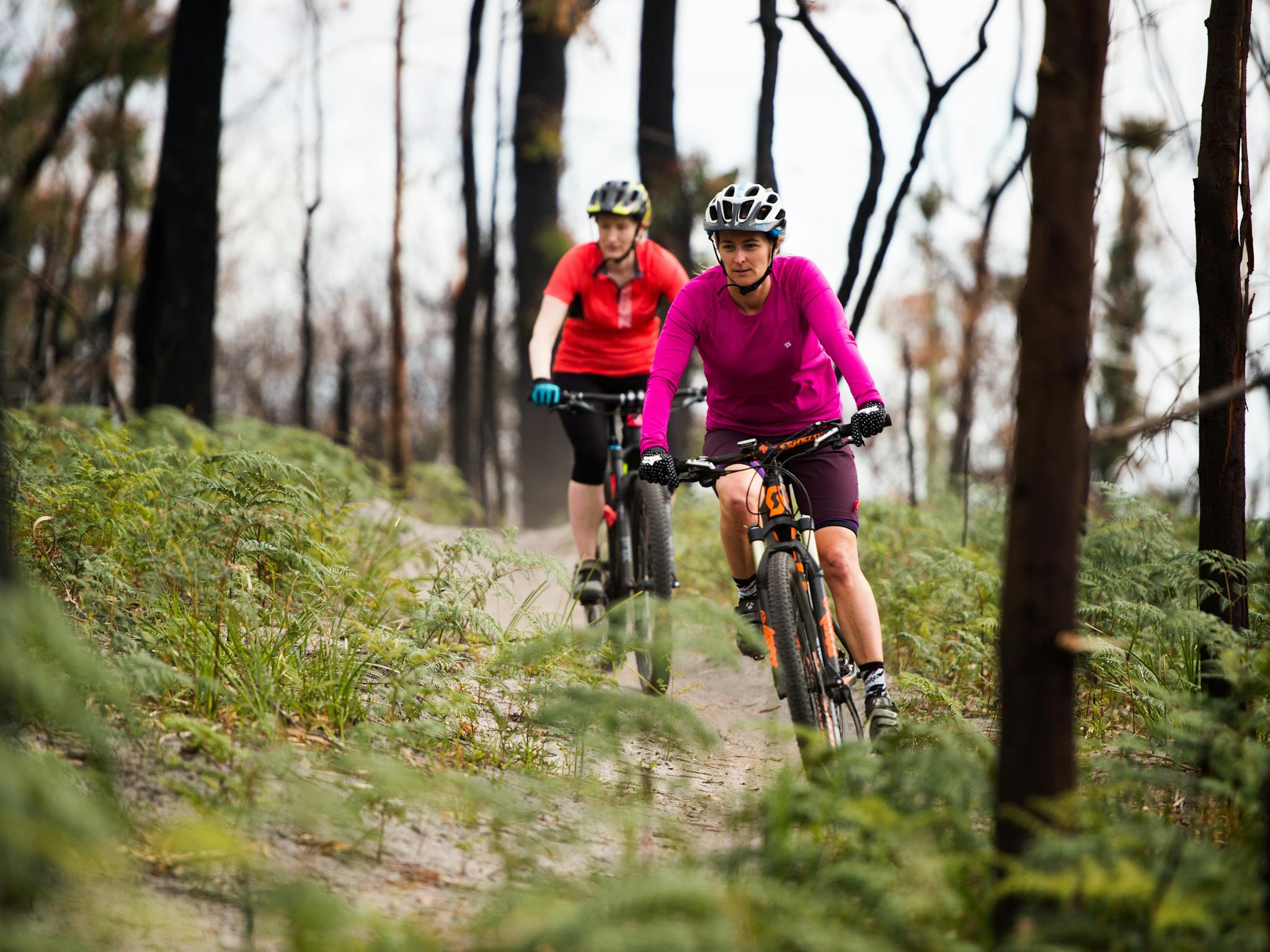 Tathra mountain bike trails, Sapphire Coast NSW