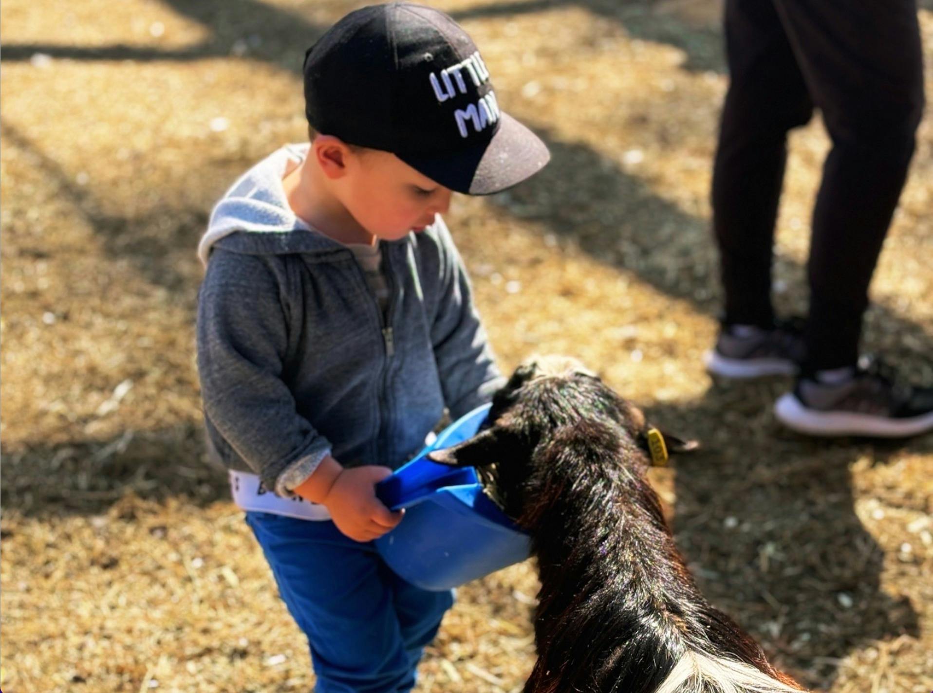 Moggill Sunday Farm Day