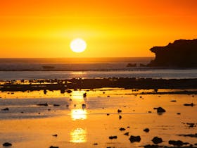 Petrified Forest Cape Northumberland Port MacDonnell South Australia's southern most point