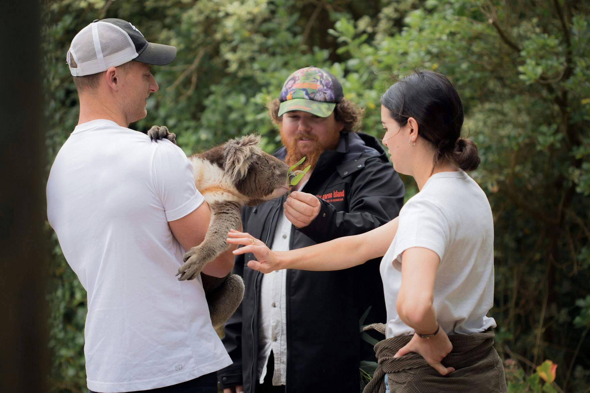 Hold a koala at Kangaroo Island Wildlife Park