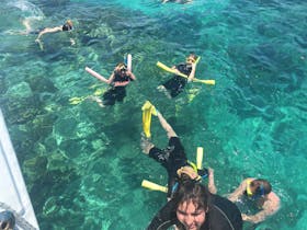 Snorkel at Upolu Reef