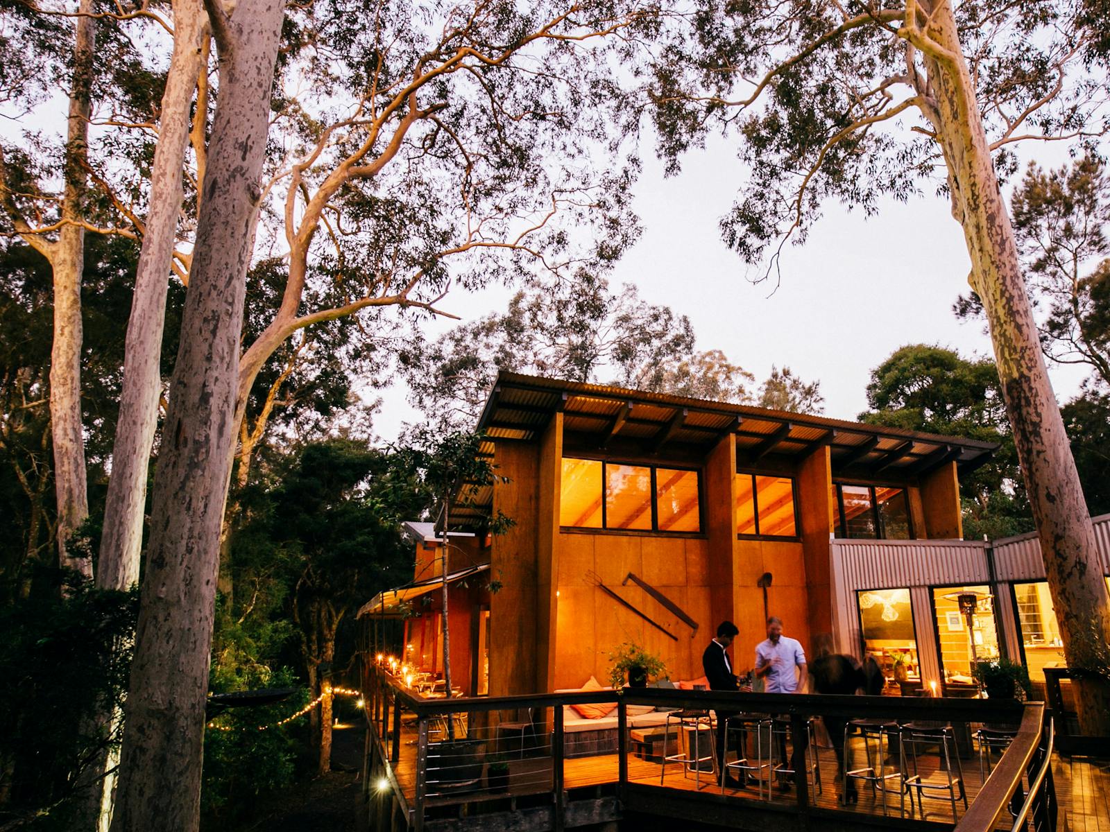 Gunyah treetop bar and restaurant at Paperbark Camp, Jervis Bay