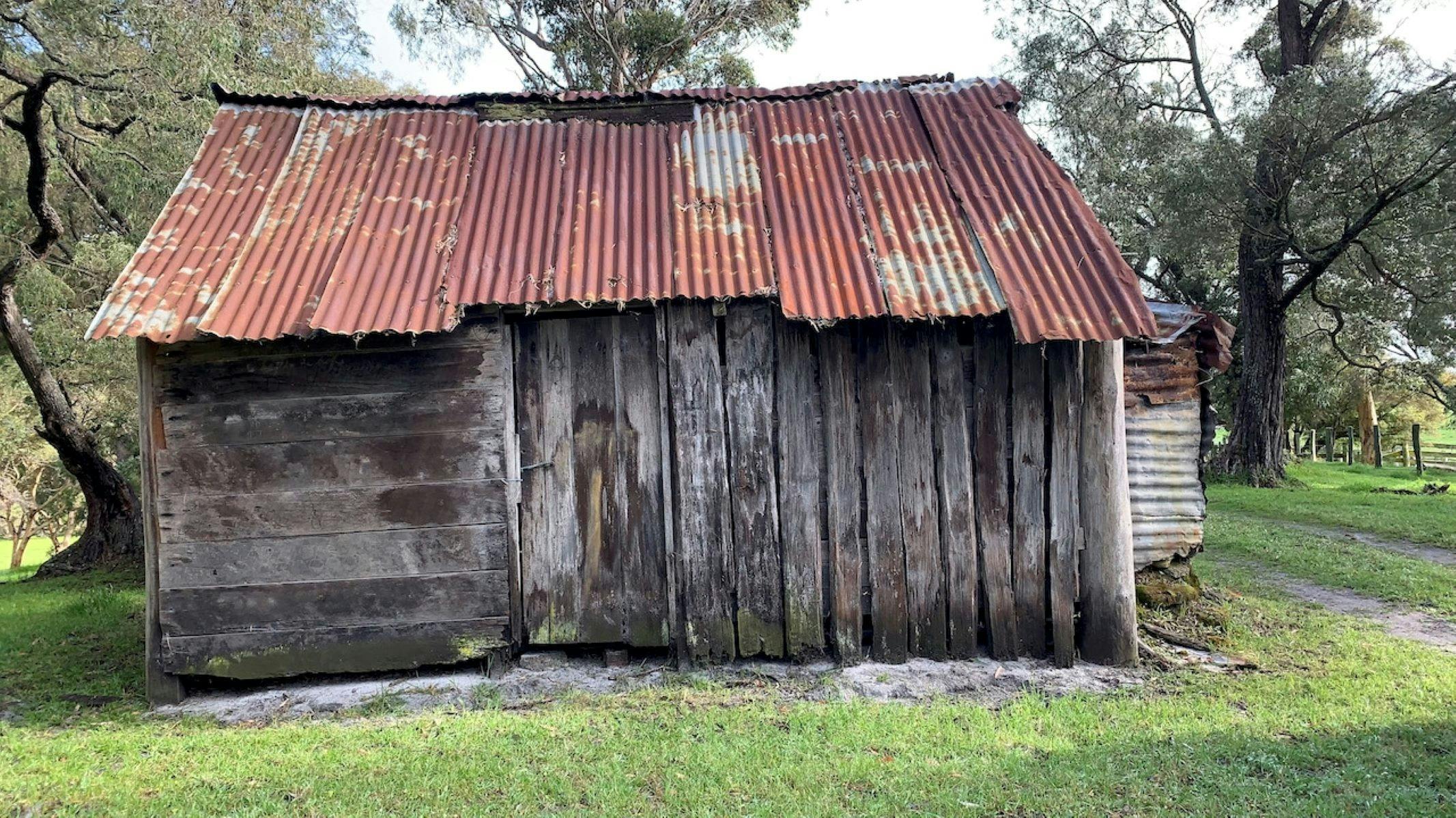 Shed