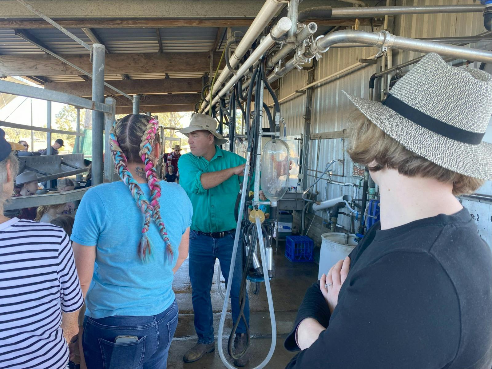 Tour, Taste & Camel Encounter