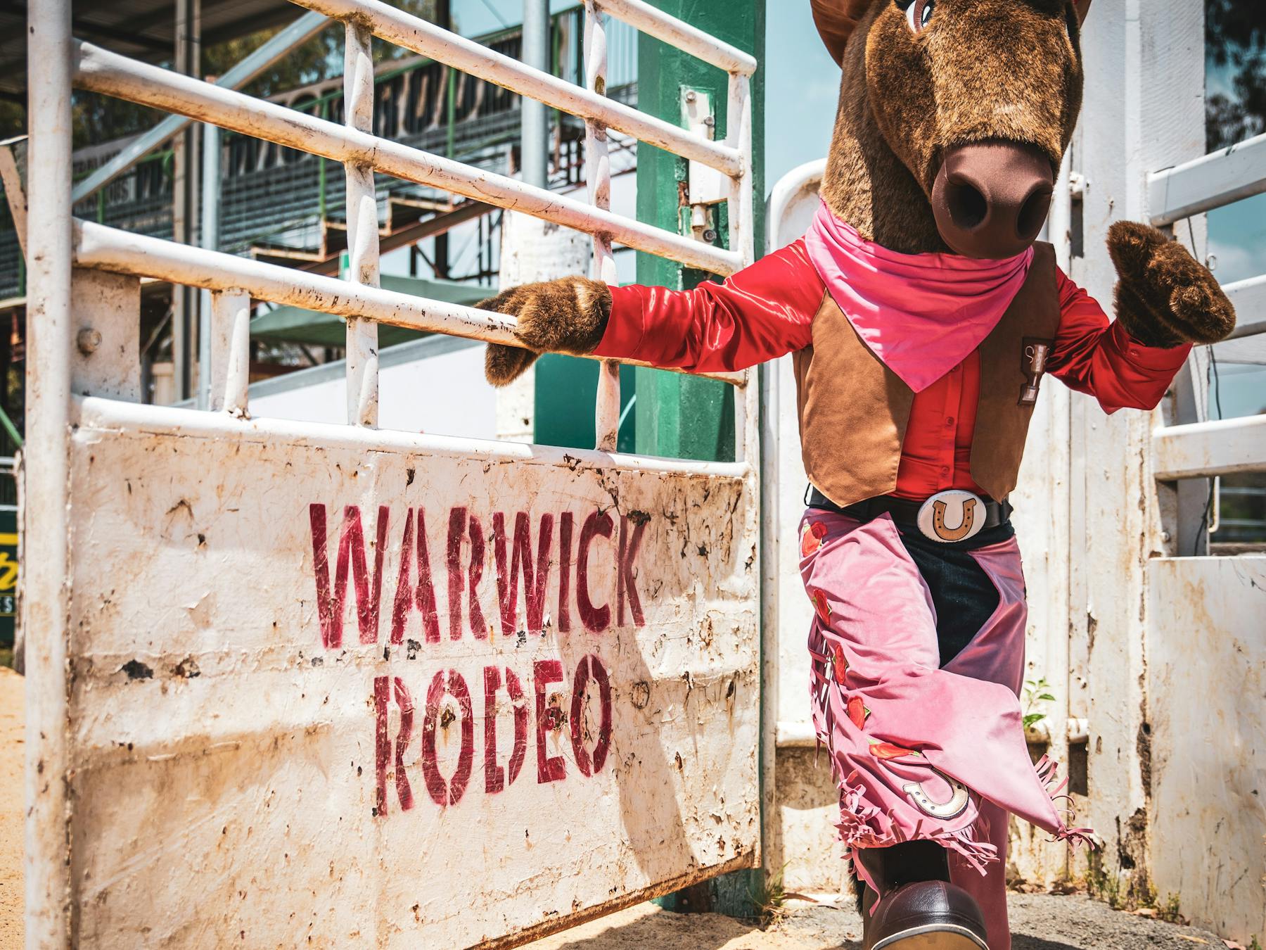 Warwick Rodeo Mascot - Gertie