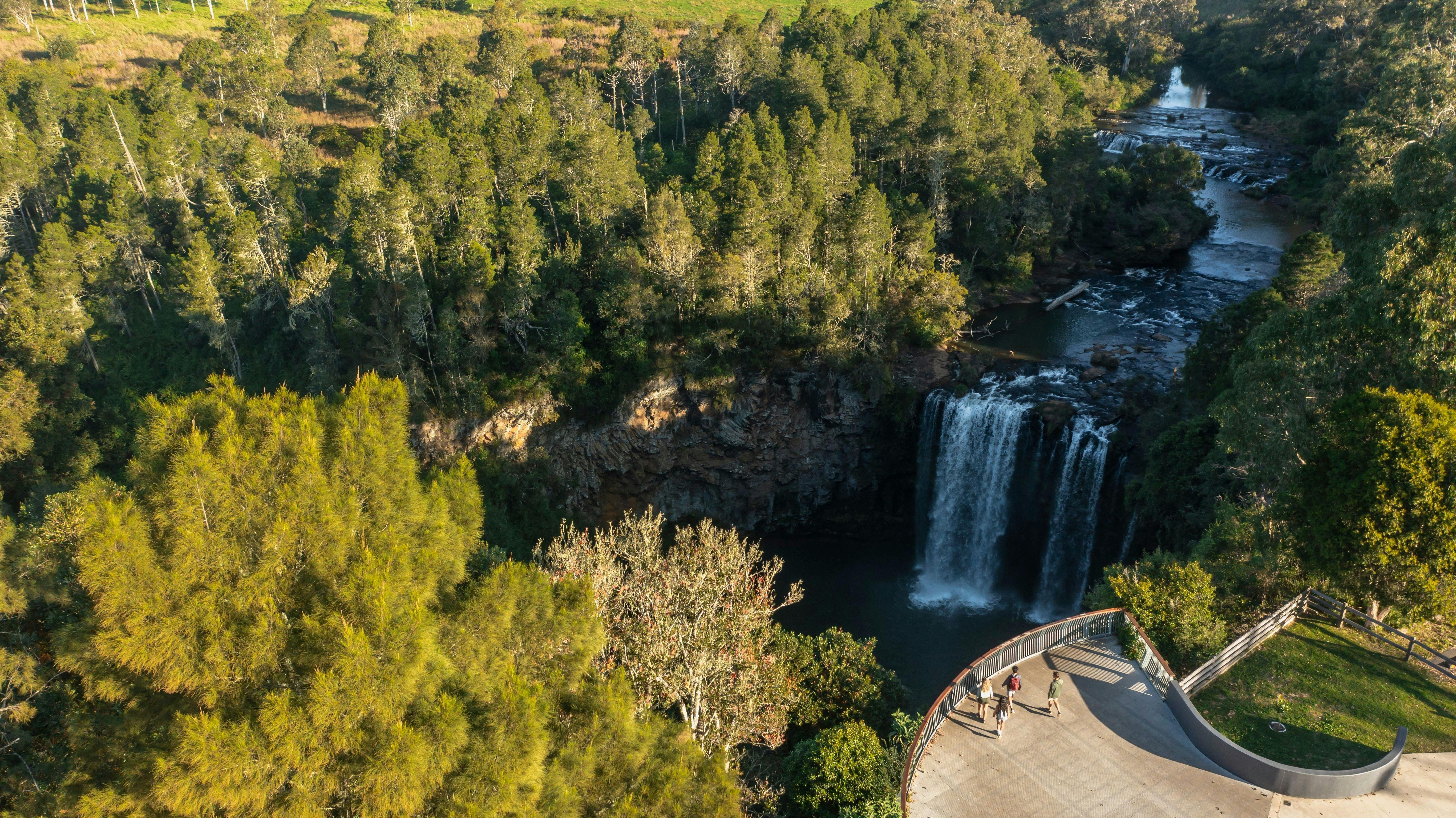Aerial view of the viewing platform looking on to Dangar Falls in Dorrigo National Park.