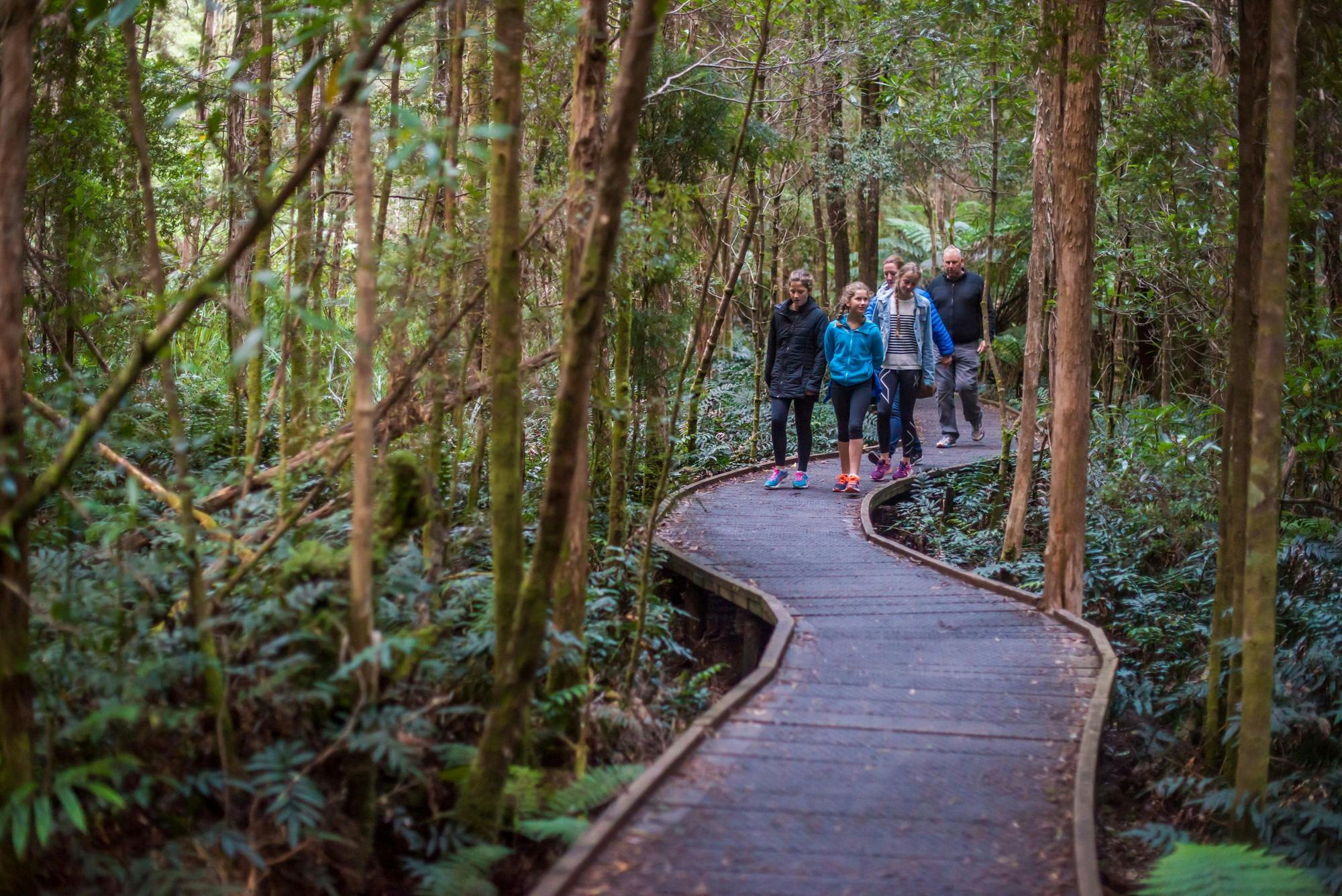 Nelson Falls, Great Short Walk