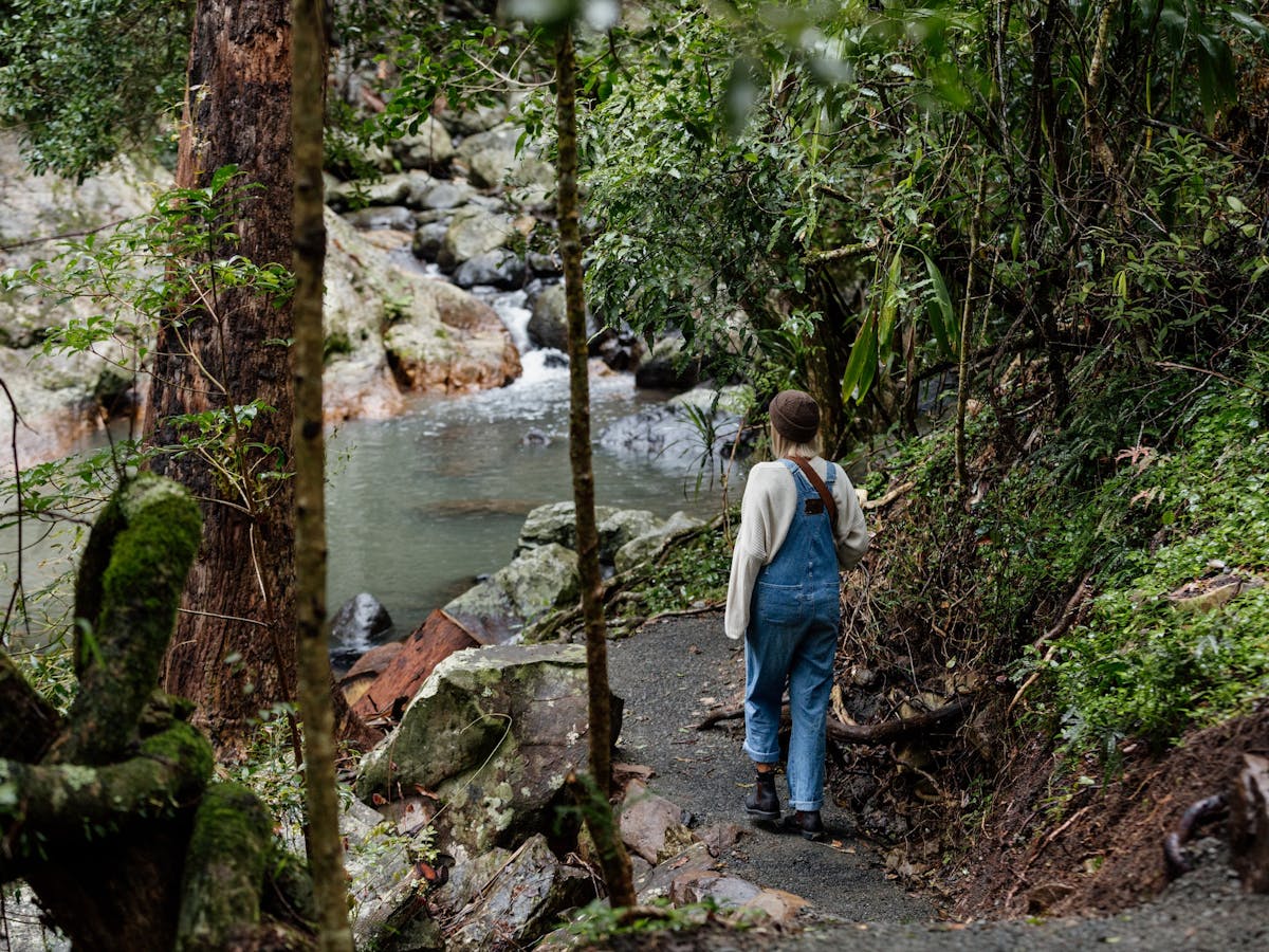 Cedar Creek