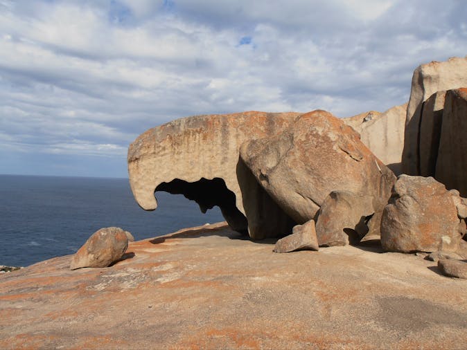 4 Day Kangaroo Island - Fleurieu Peninsula Tour - SWTKIFP04