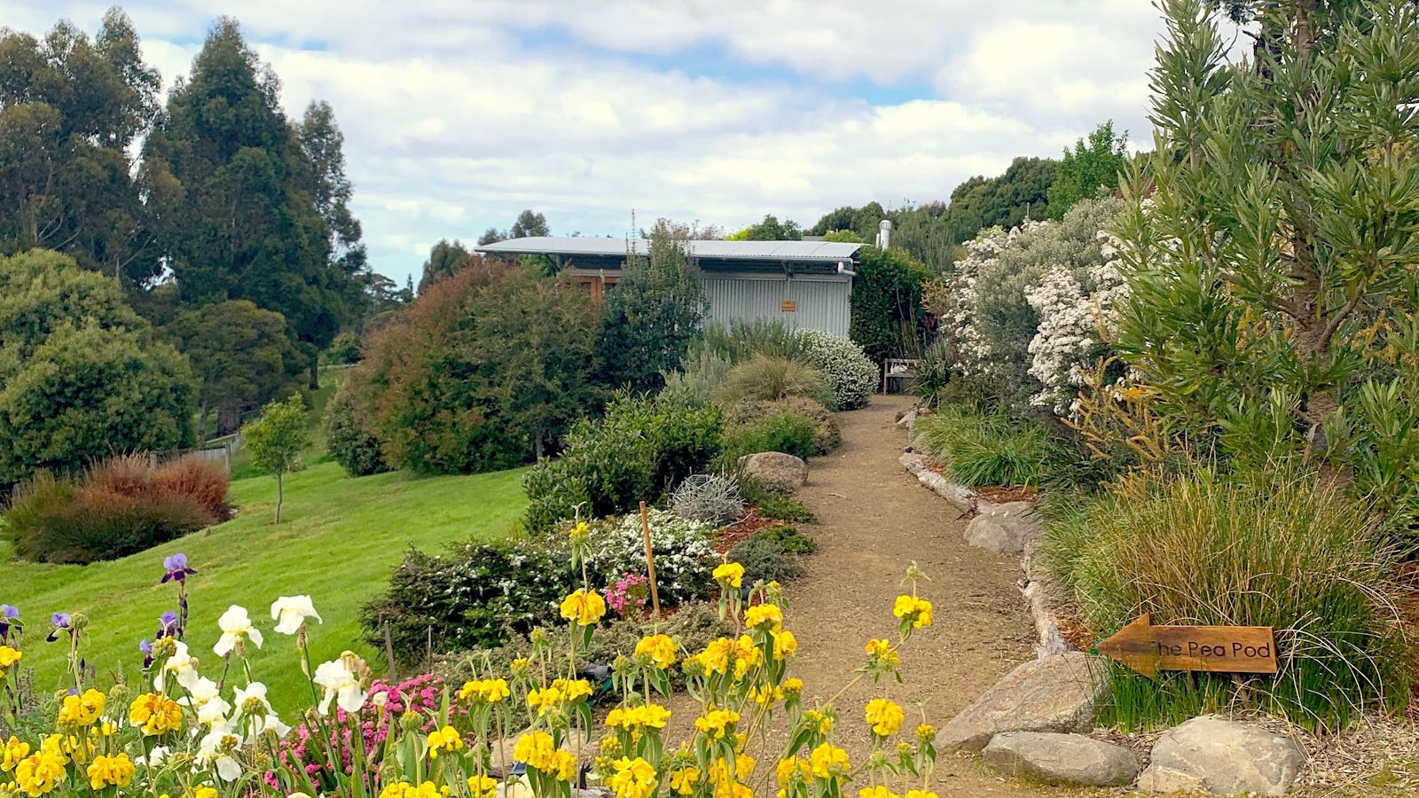 Pea Pod path