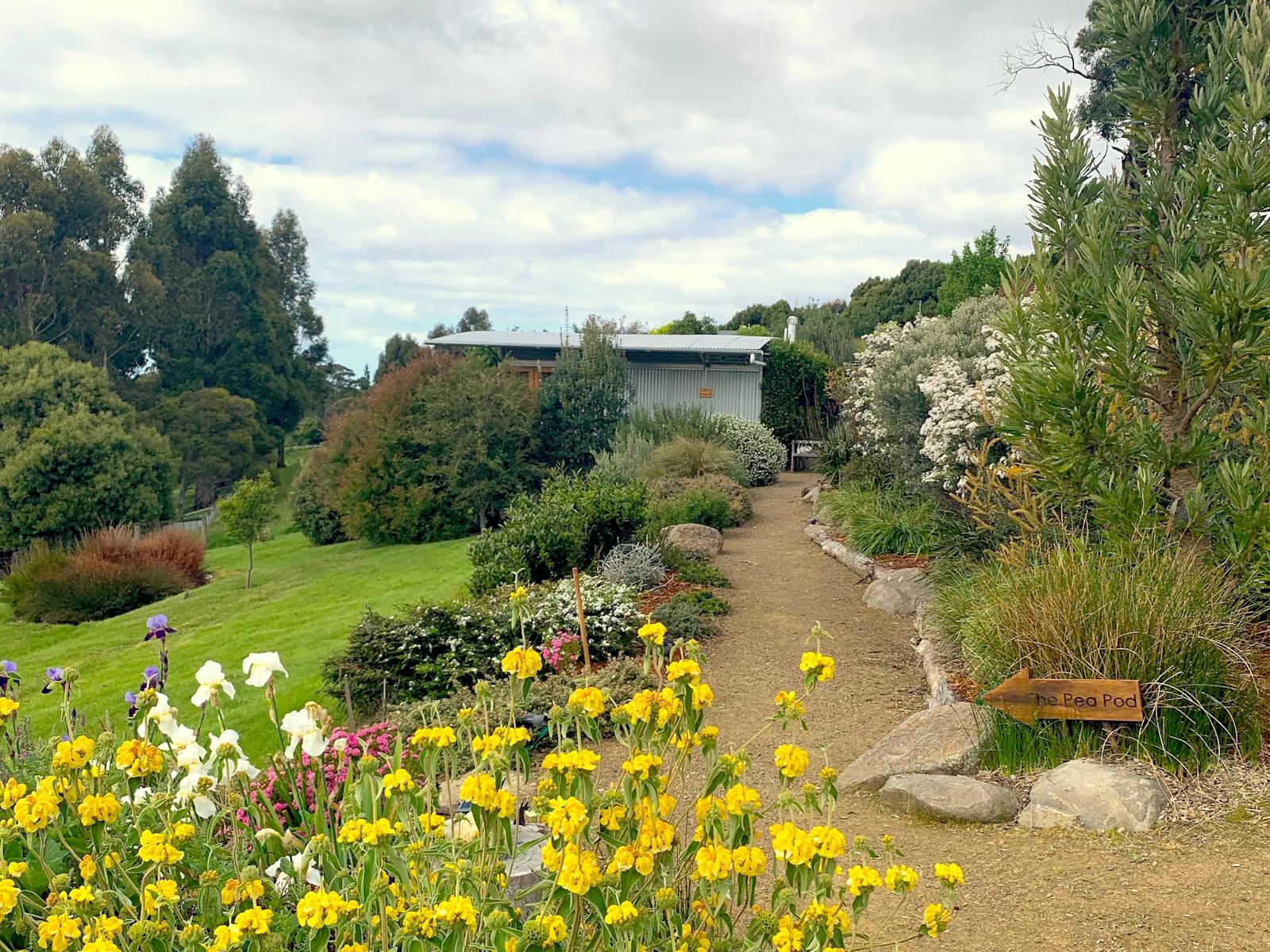 Pea POD PATH