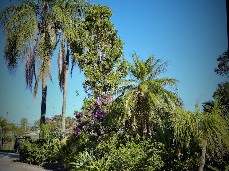 Motel Garden