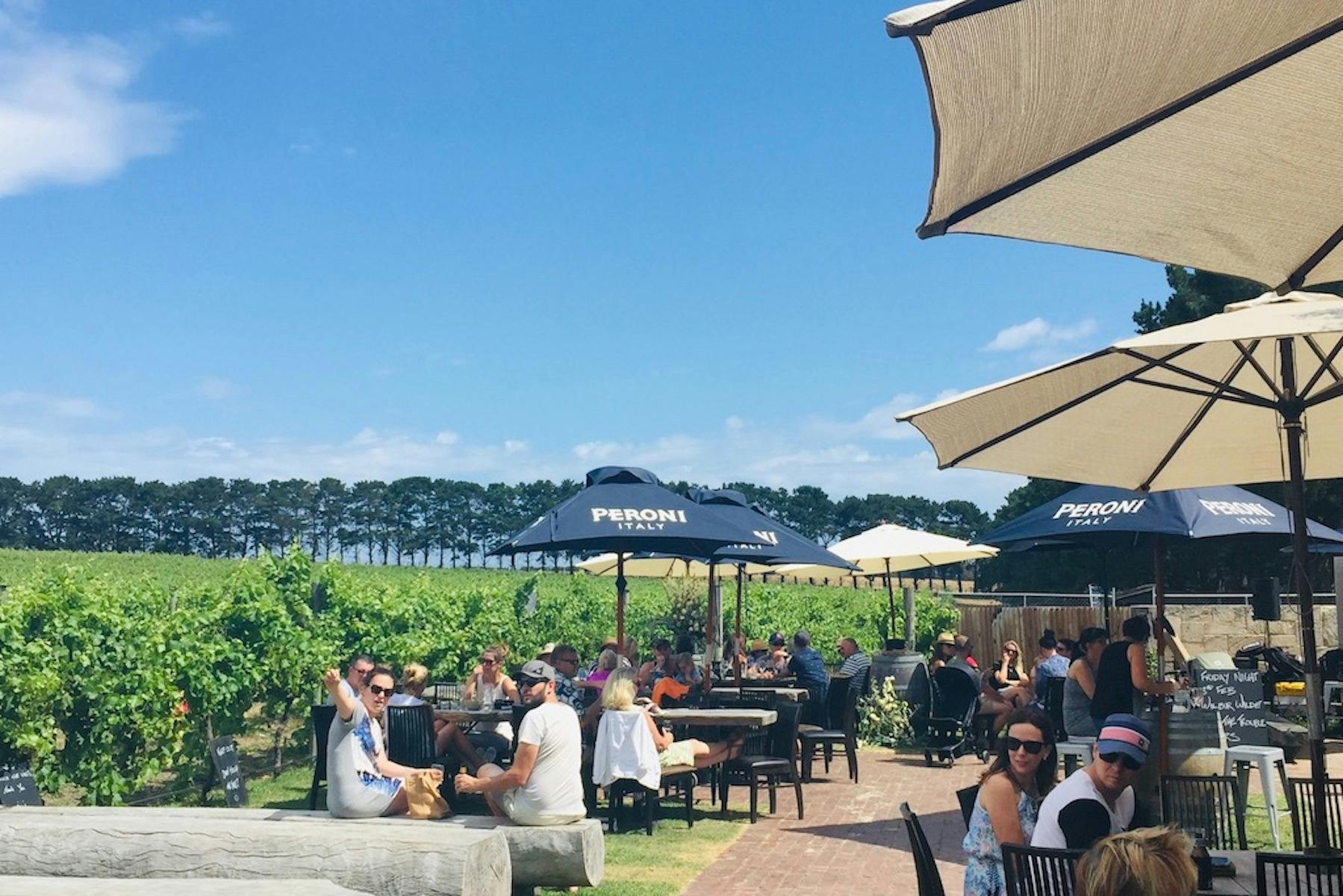 enjoying lunch at a local bellarine winery