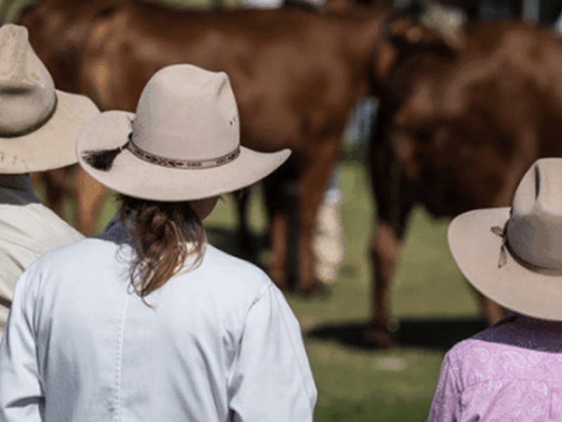 Image for Wellington Show