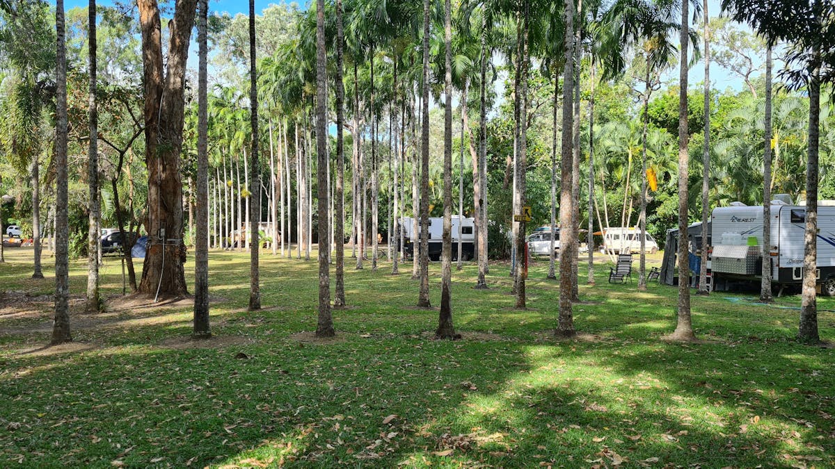 From the front of the park showing the row of trees that designate powered sites - privacy from road
