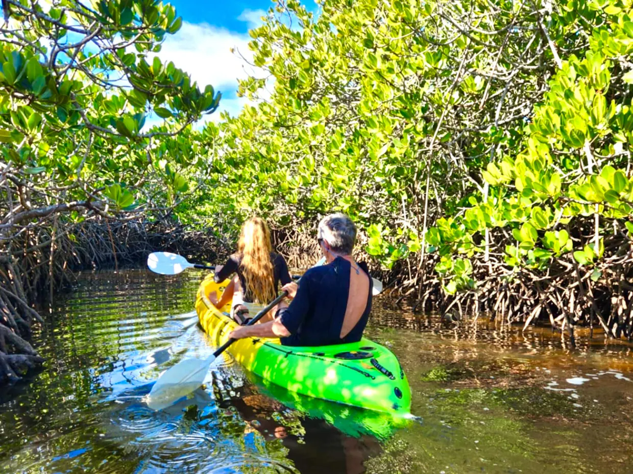 Noosa's Hidden Waterways & Wildlife Tour