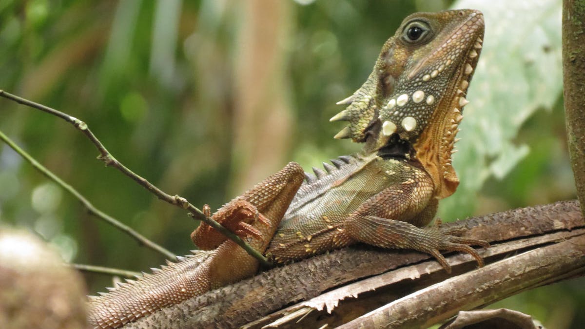 Unforgettable wildlife Unforgettable wildlife