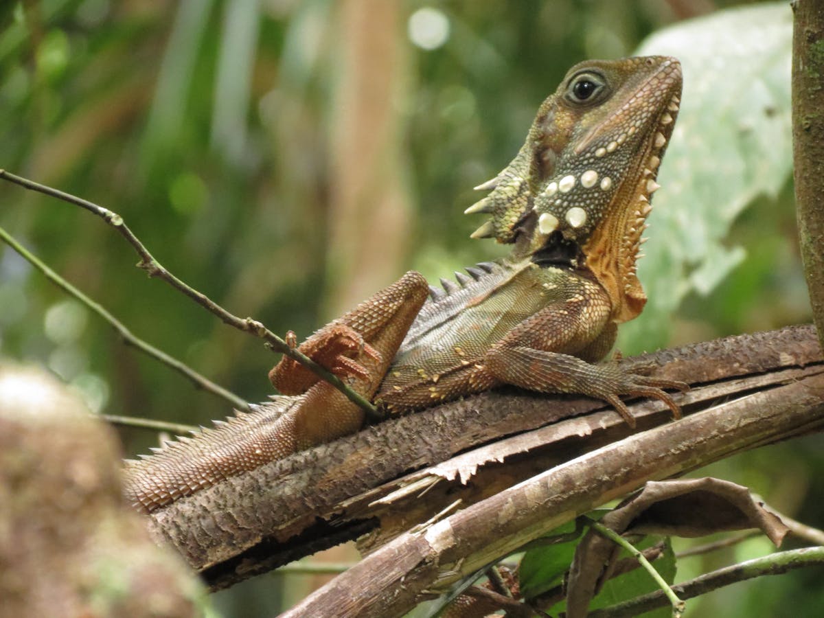 Unforgettable wildlife