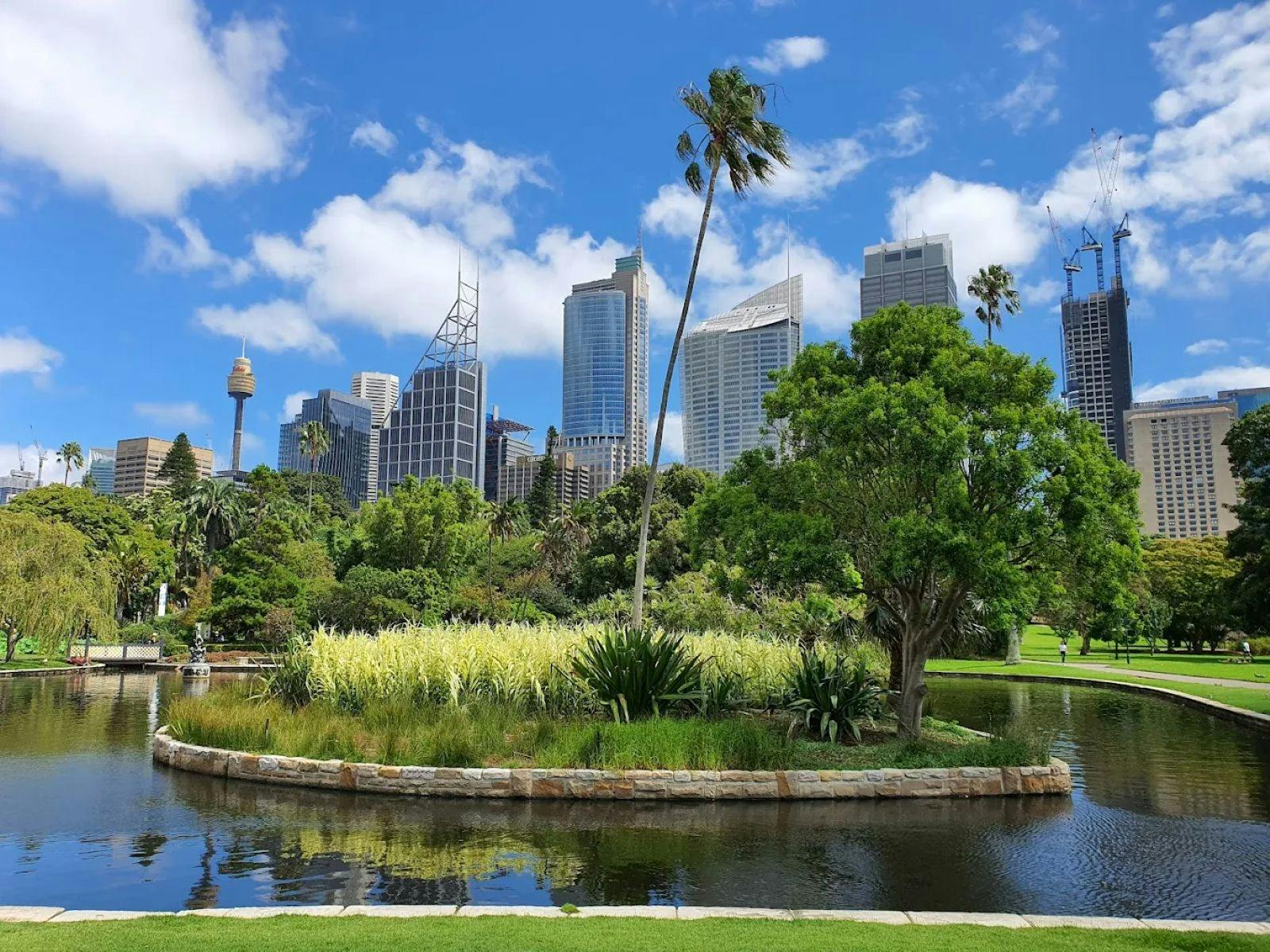Royal Botanic Gardens Sydney with CBD skyline and pond My Electric Sydney Day tour