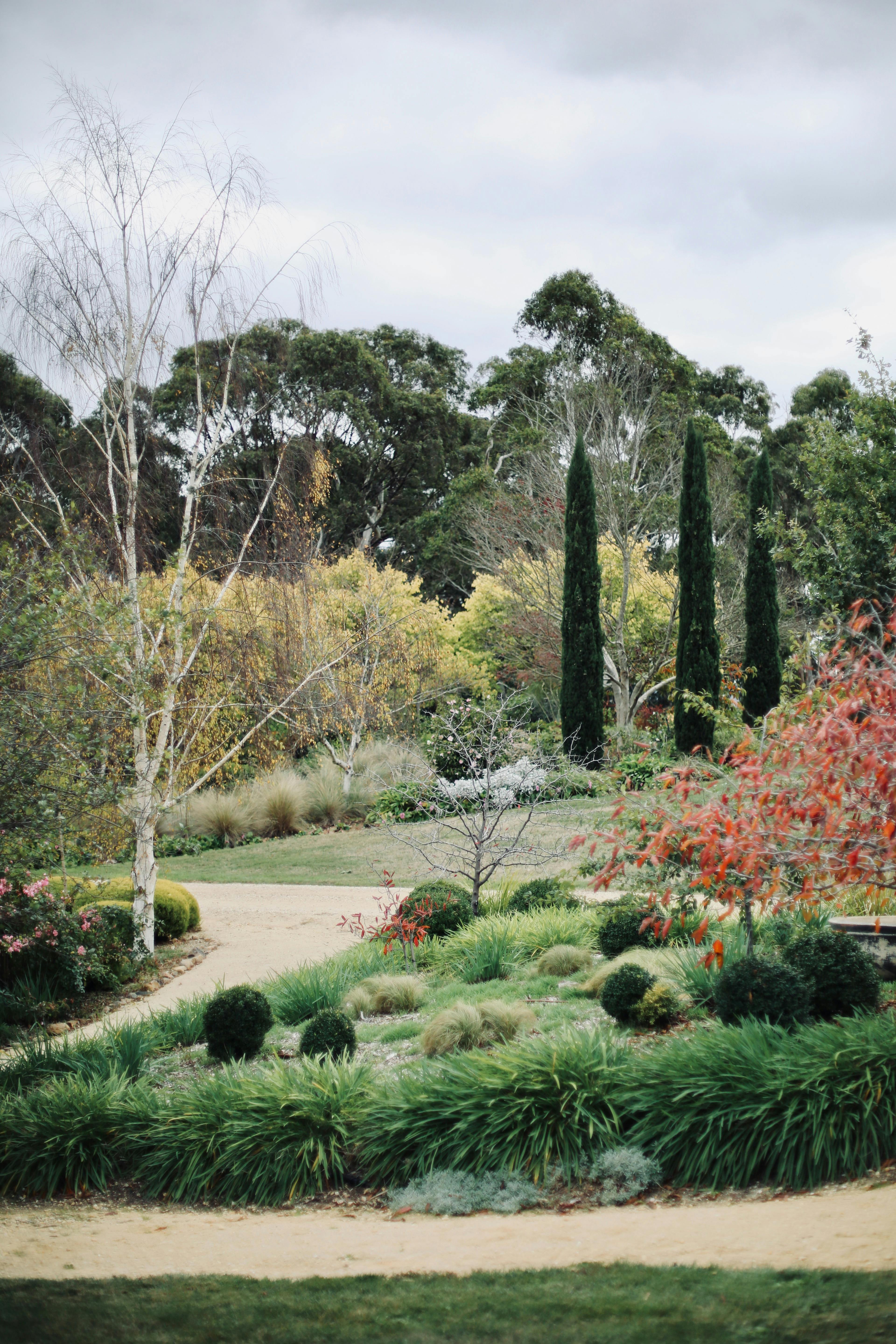 The Homestead - Gardens