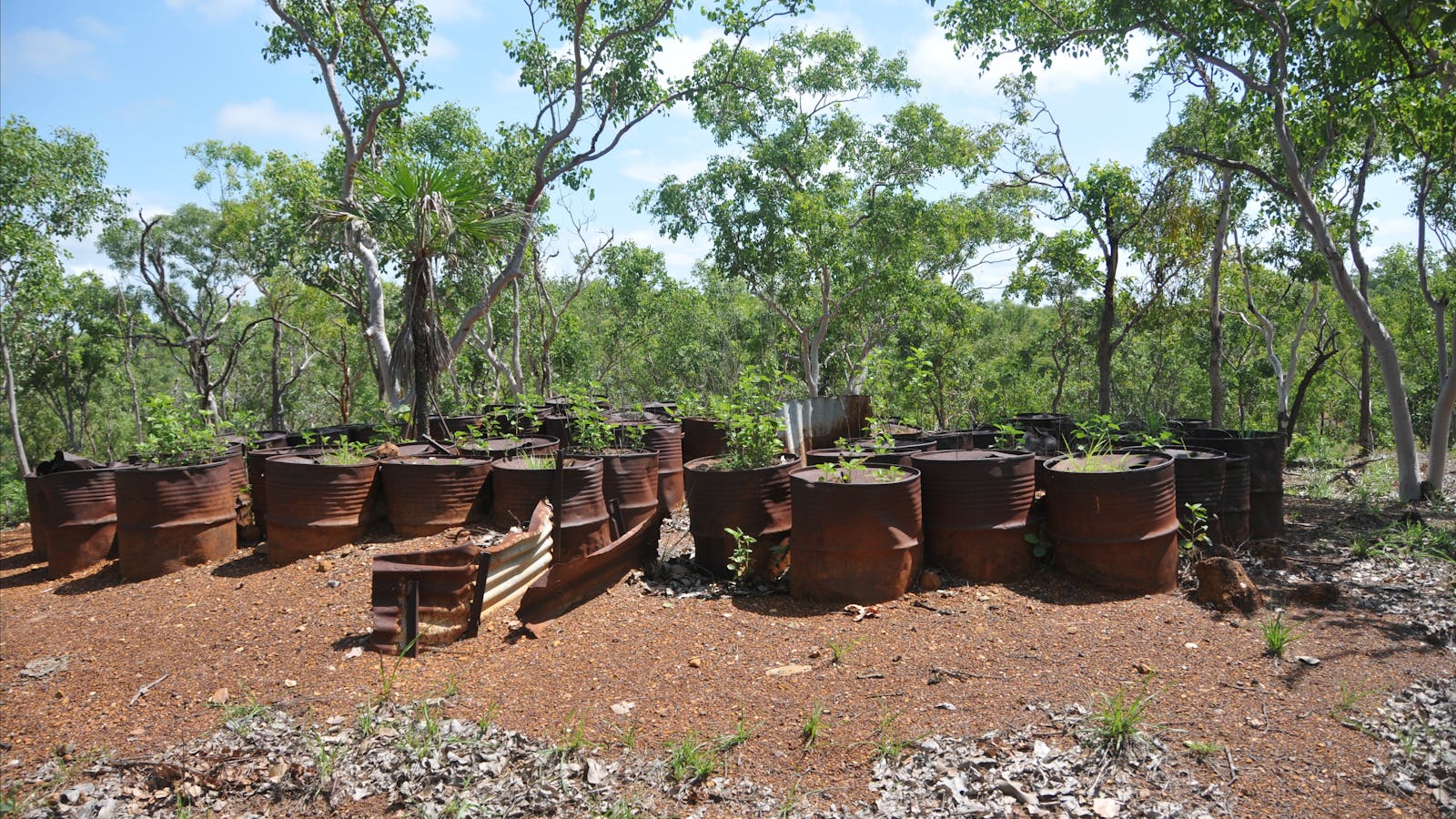 WWII Pell Airstrip Camp A 4RSU Workshop, Adelaide River
