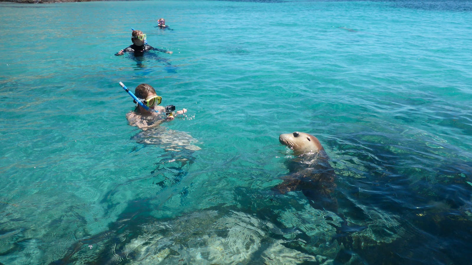 Calypso Star Charters