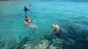 Calypso Star Charters