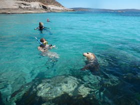 Calypso Star Charters