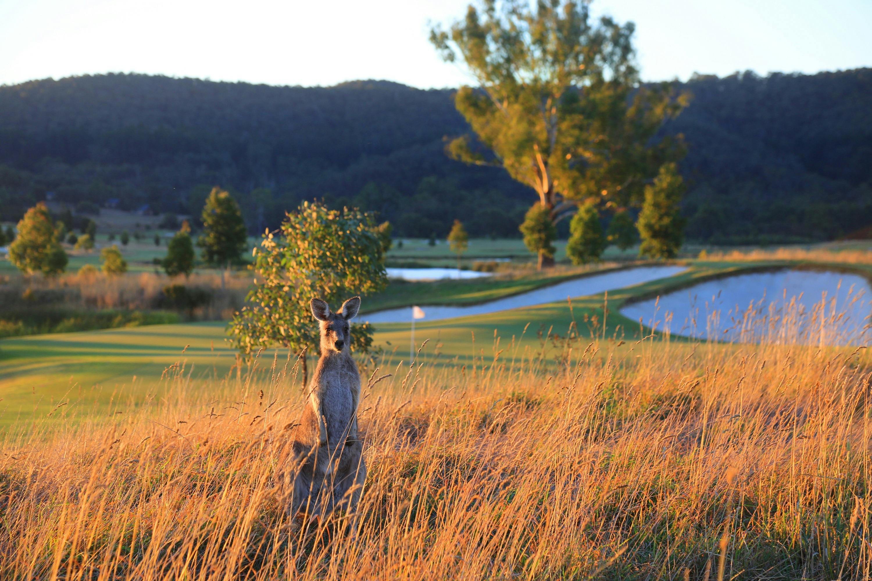 The Eastern Golf Club