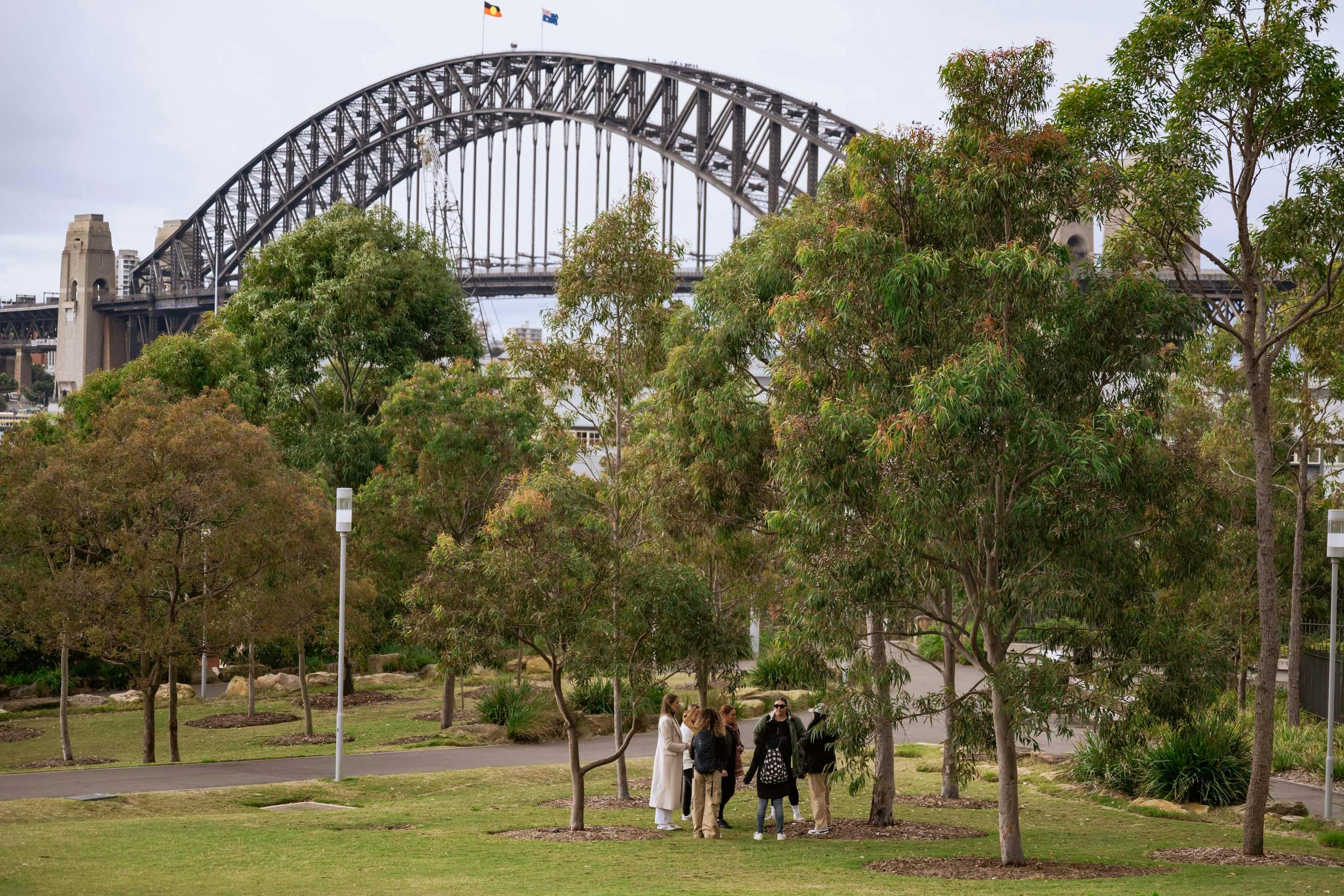 Aboriginal Cultural Tours