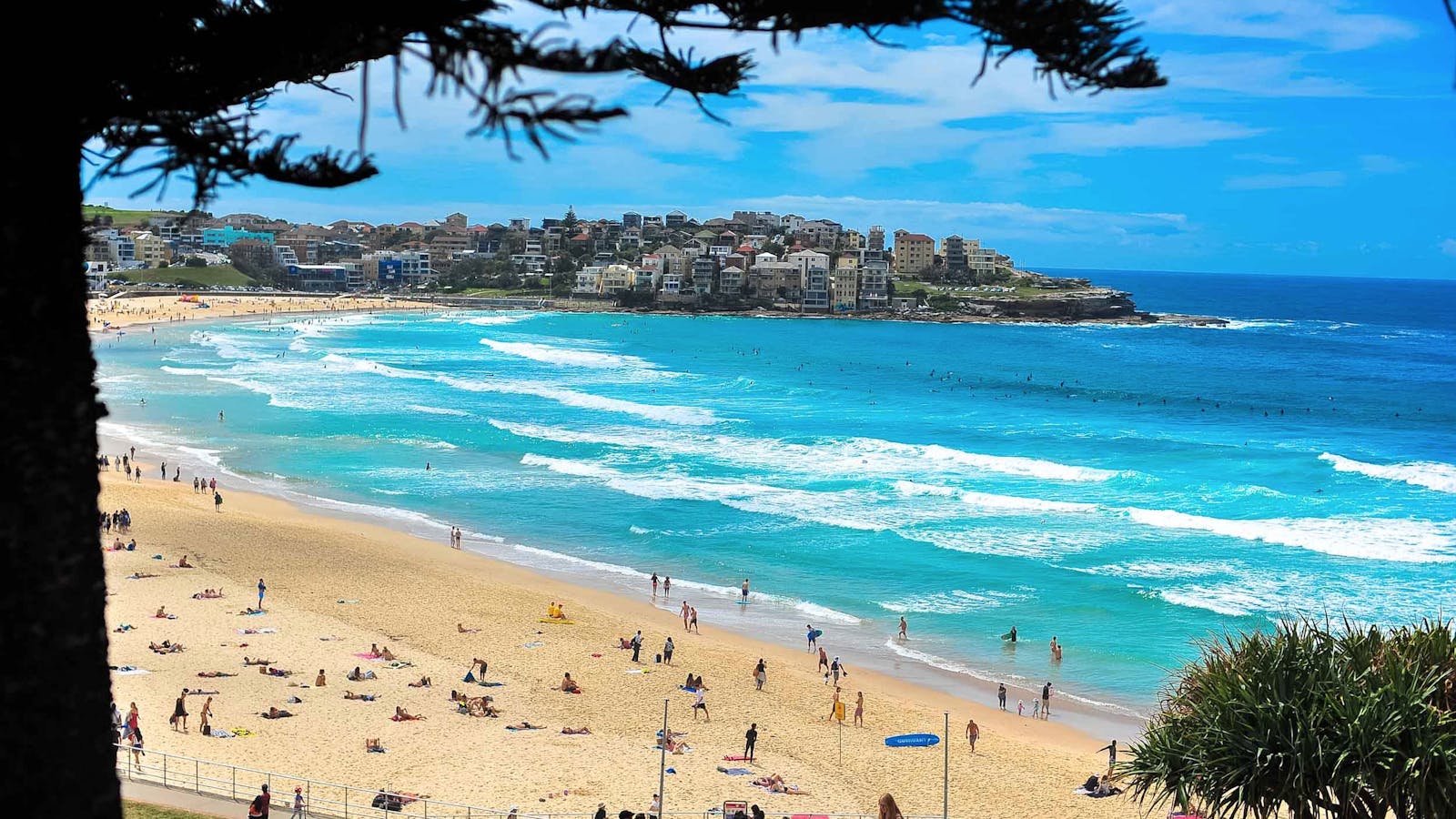 Your Sydney Guide