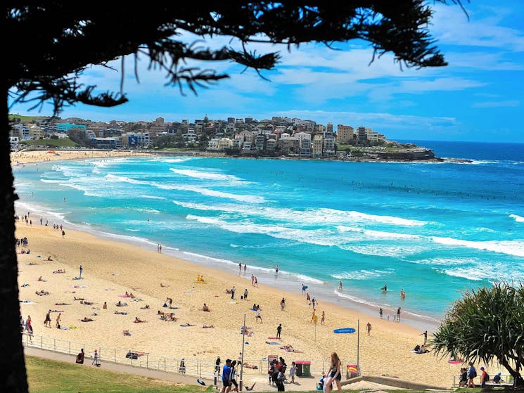 Sydney's Bondi Beach in Summer