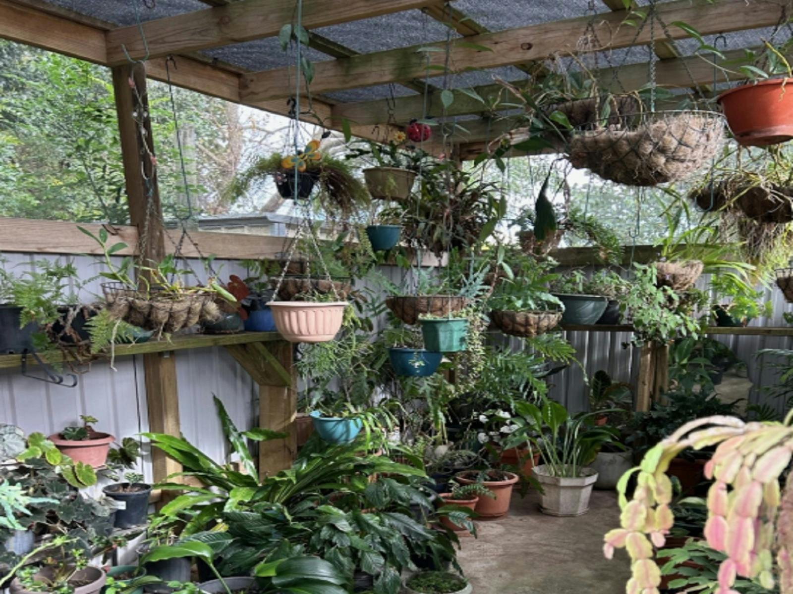 Maitland Garden Ramble 2025