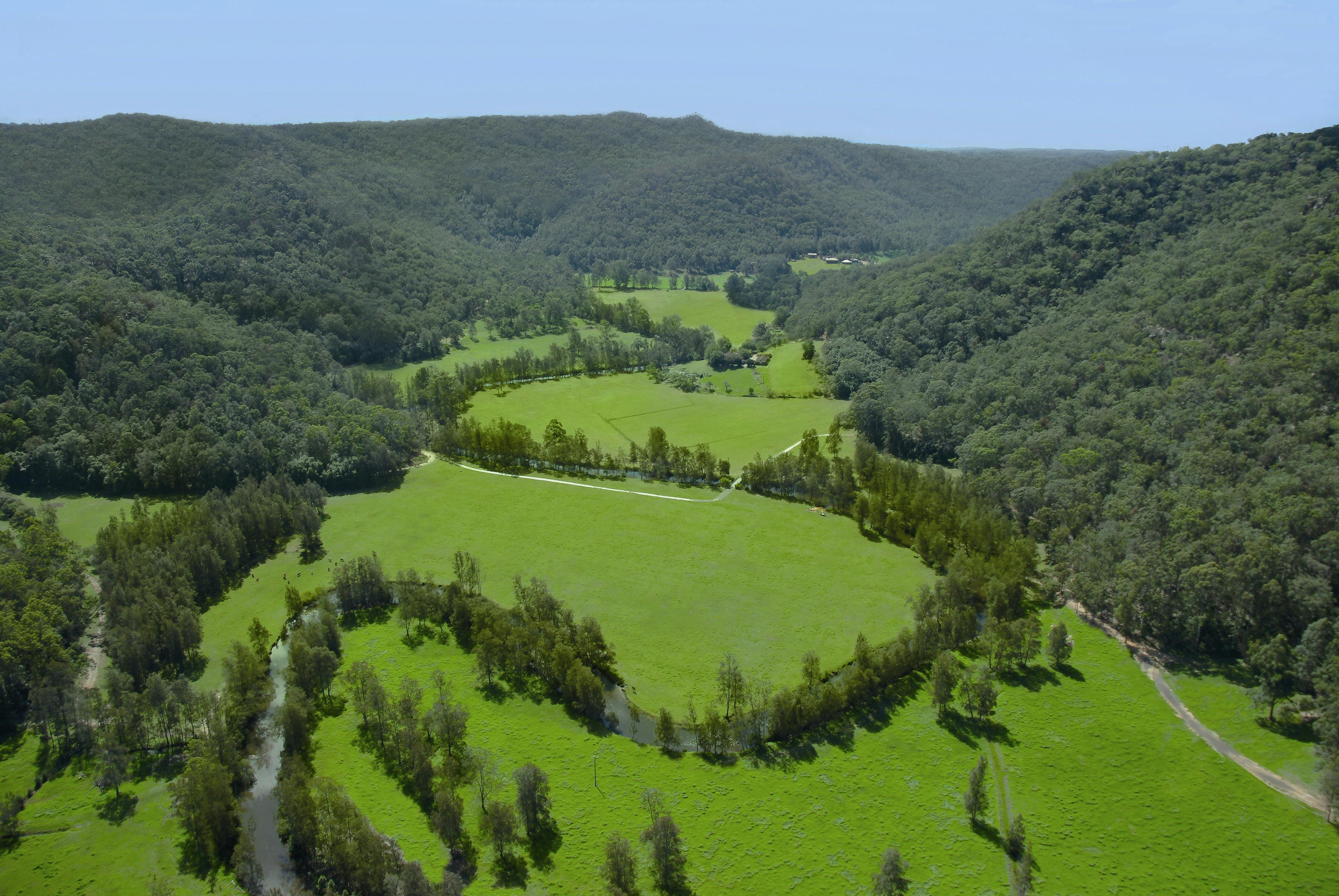 Glenworth Grazing Food and Wine Festival