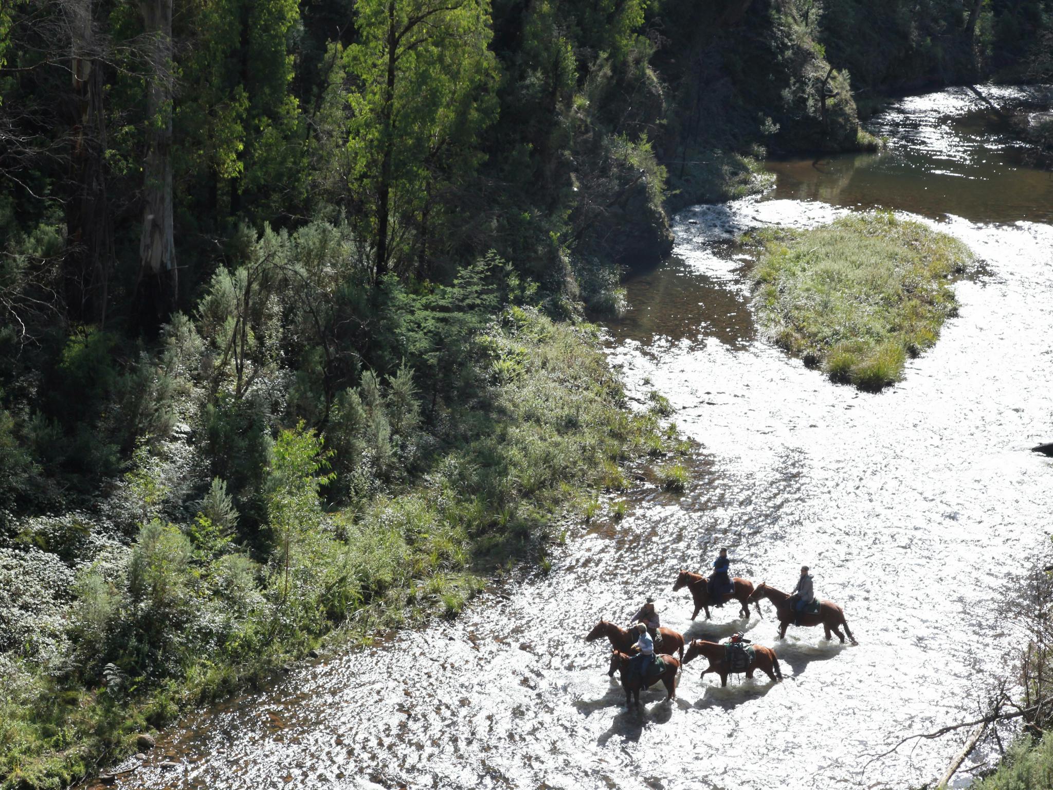 Trekking along the Howqua River