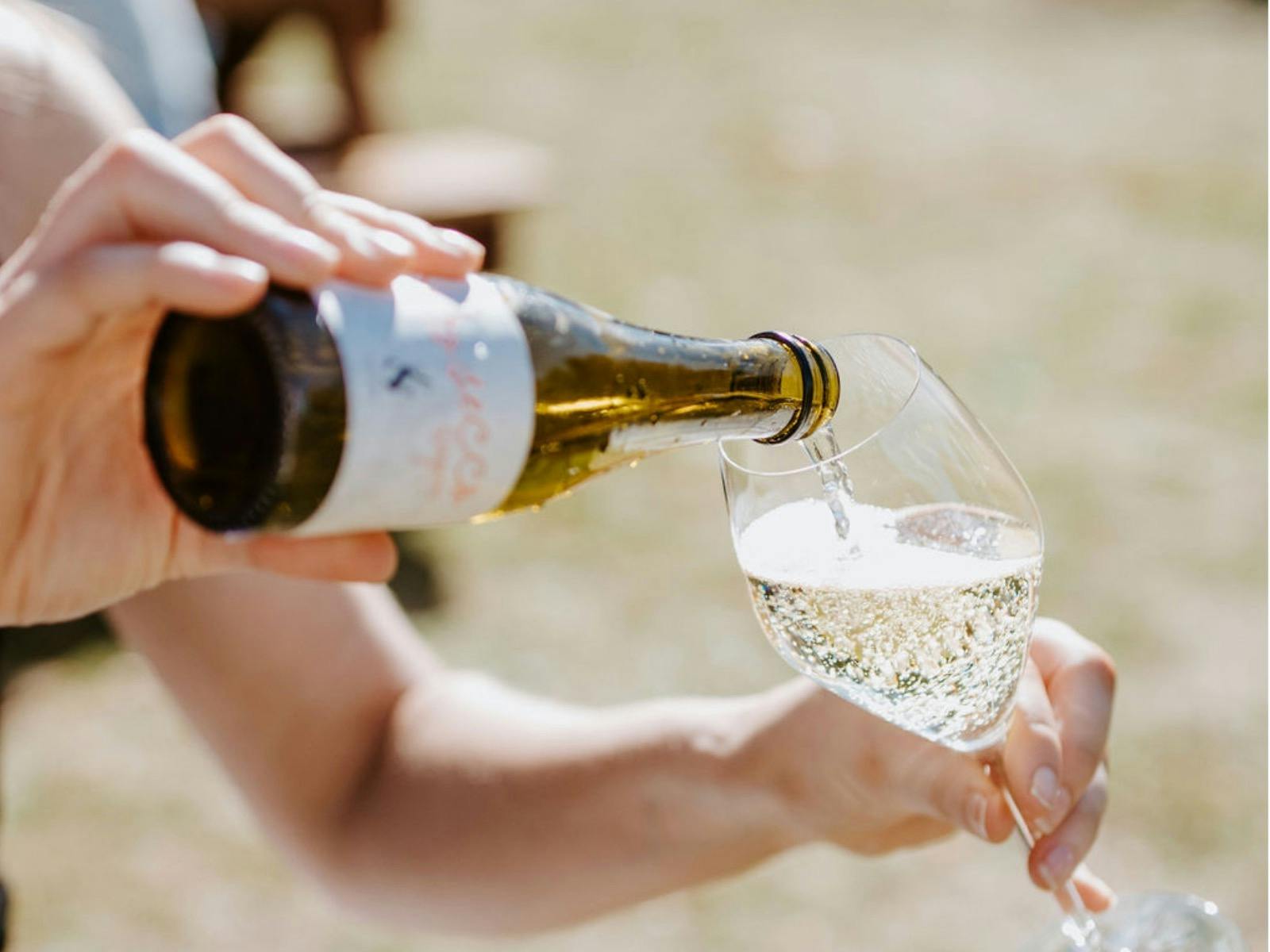 See Saw Prosecco Festival