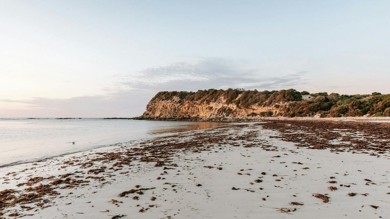 D'Estrees Bay