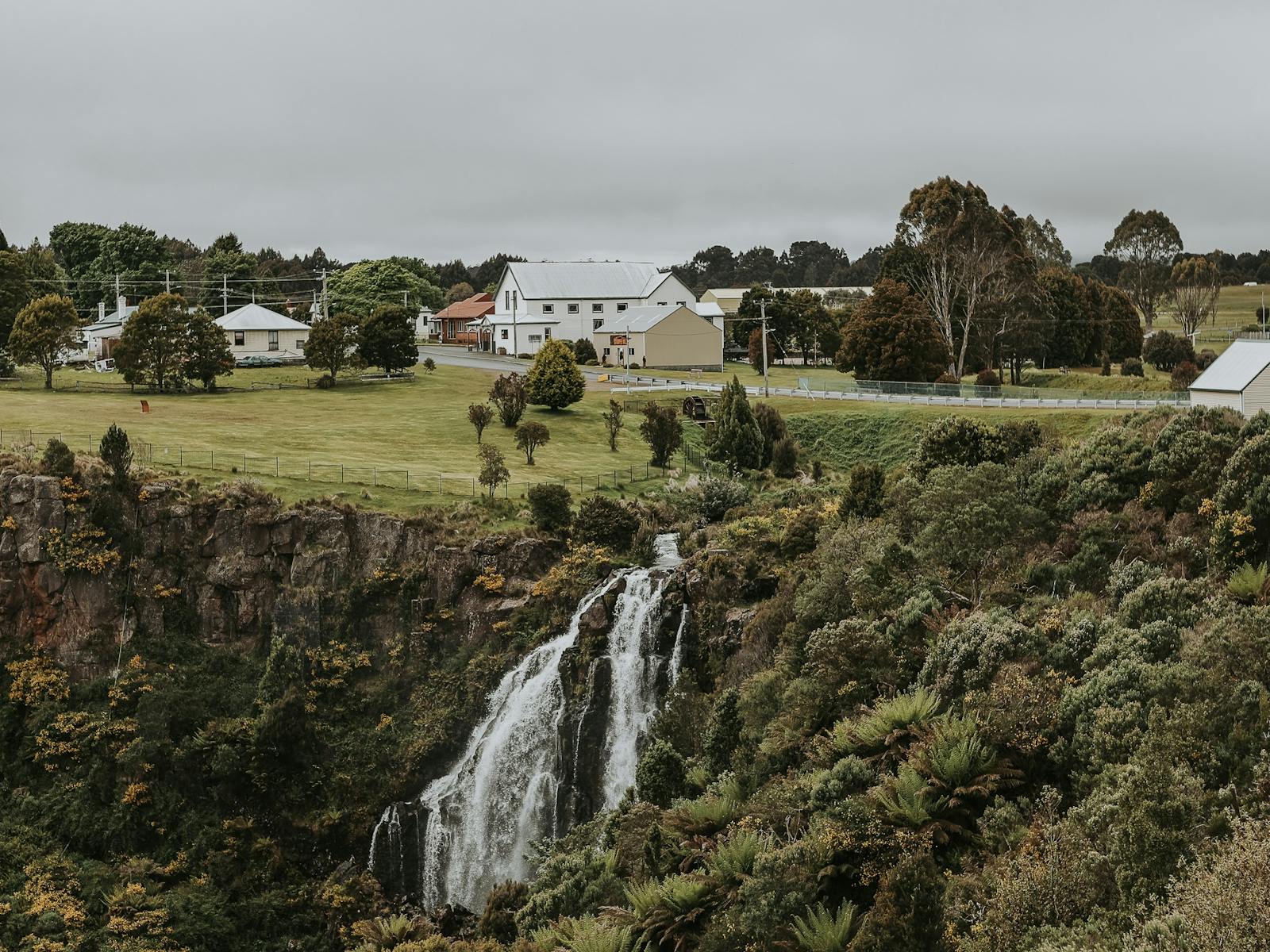 Waratah Waterfall