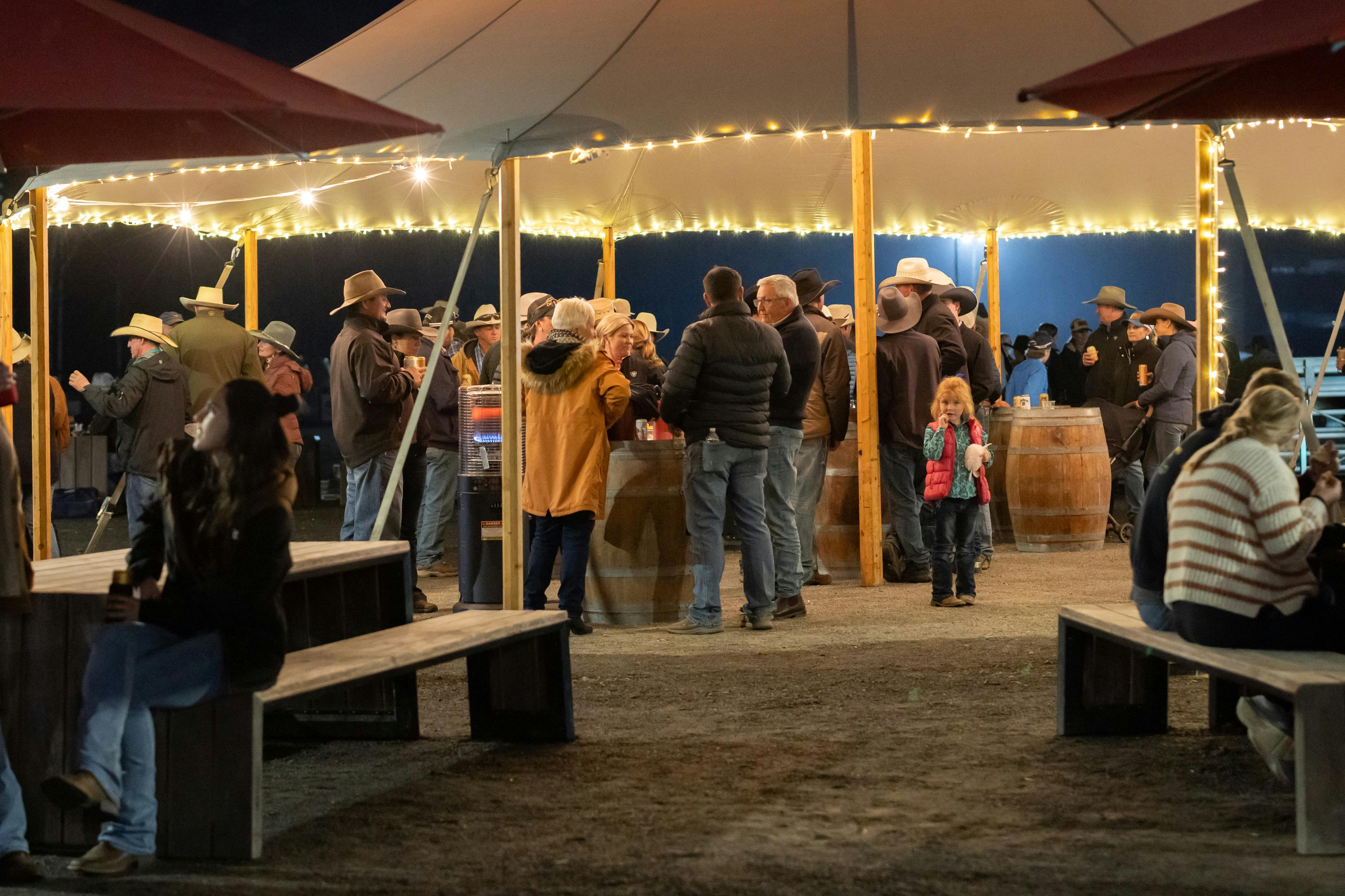 Gold Buckle Campdraft Championship