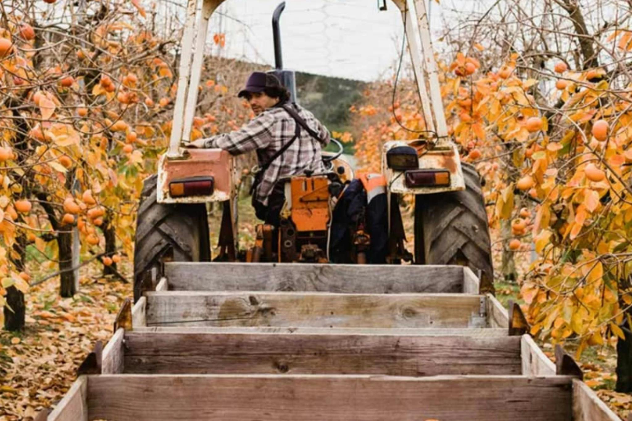 フルーティーファングループツアー