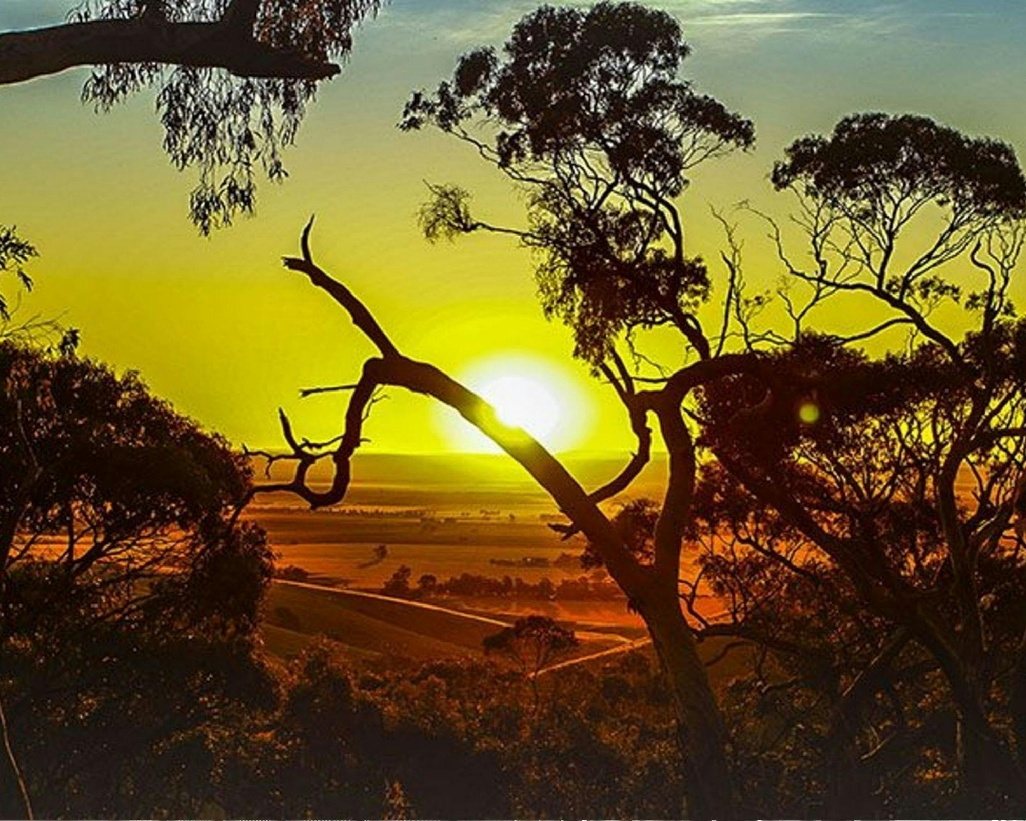 Sunset over the Clare Valley