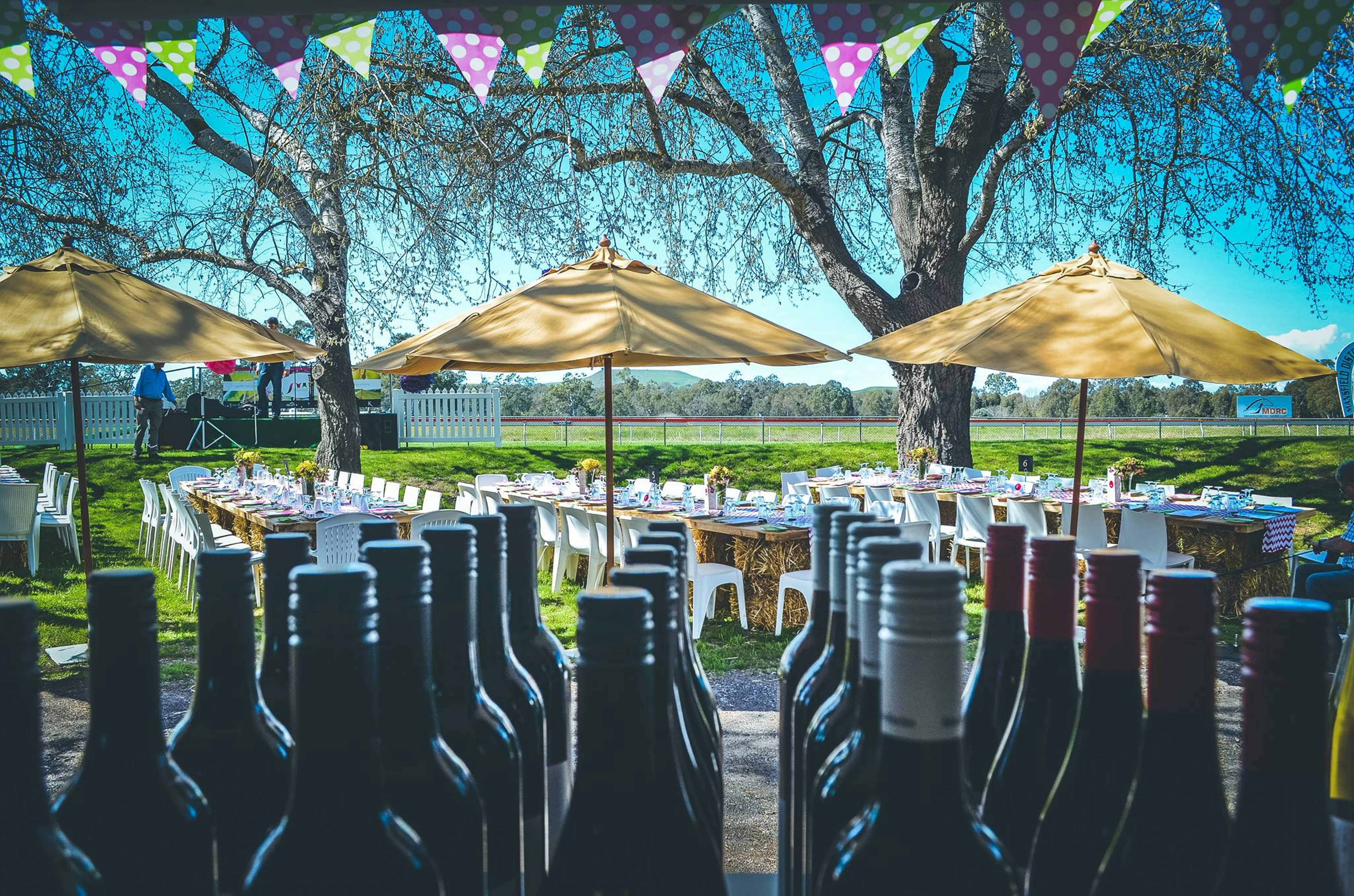 Mansfield Winemakers - Opera On High