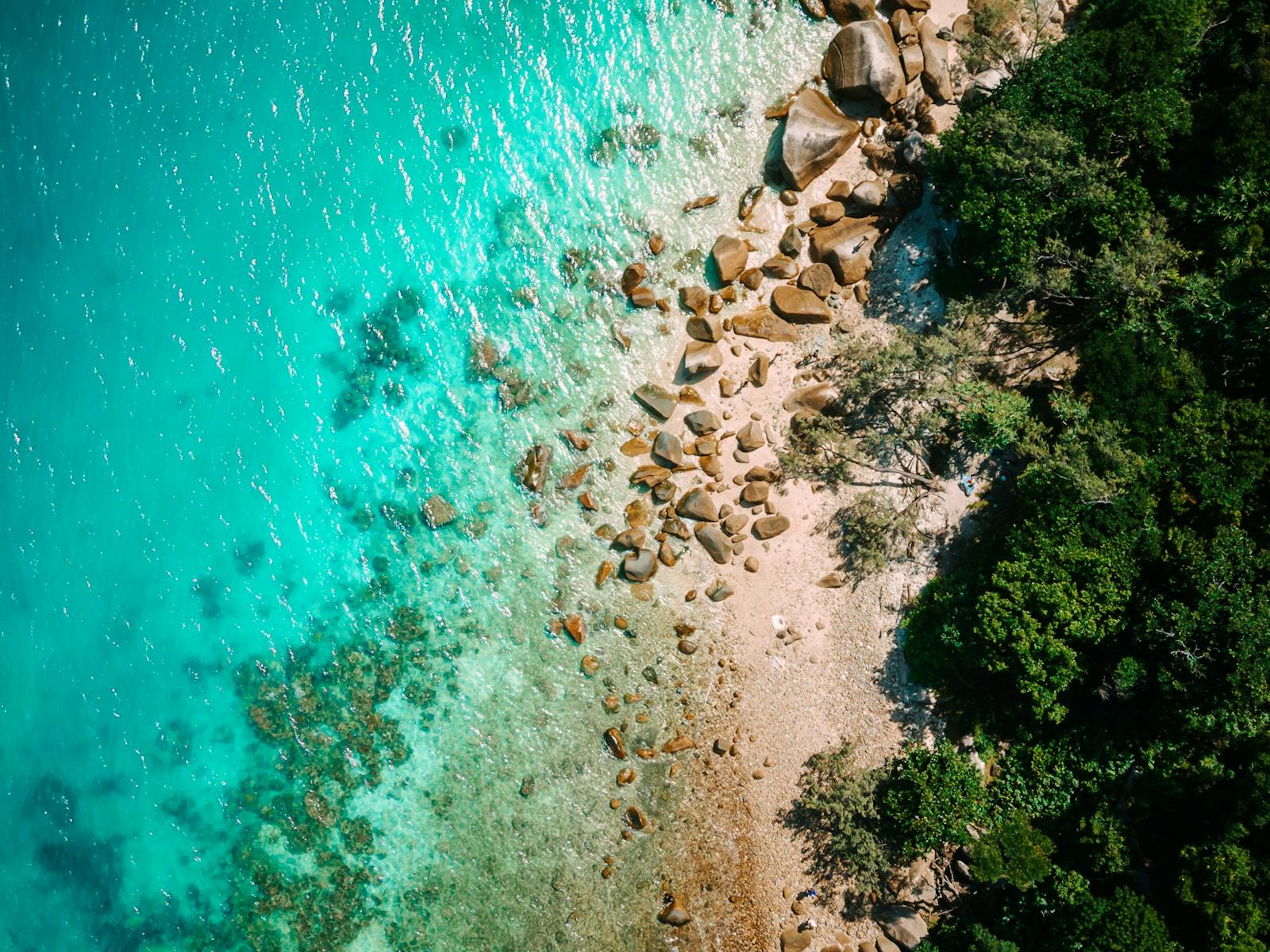 Fitzroy Island Drone Fitzroy Island Drone