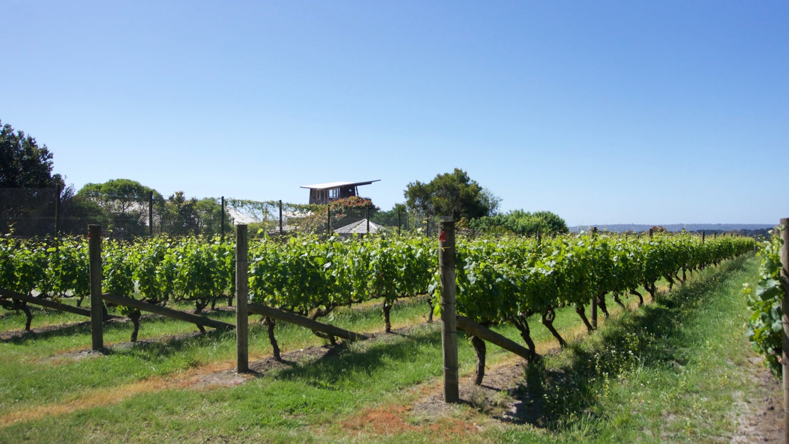 Wine Compass - Mornington Peninsula