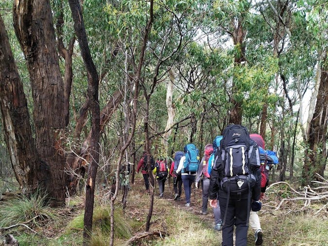 2 day Women’s Kuitpo Forest Micro Adventure
